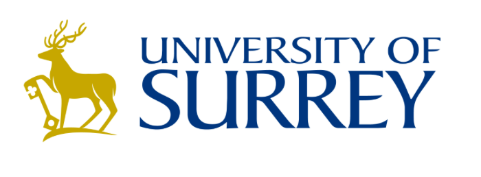 university of surrey