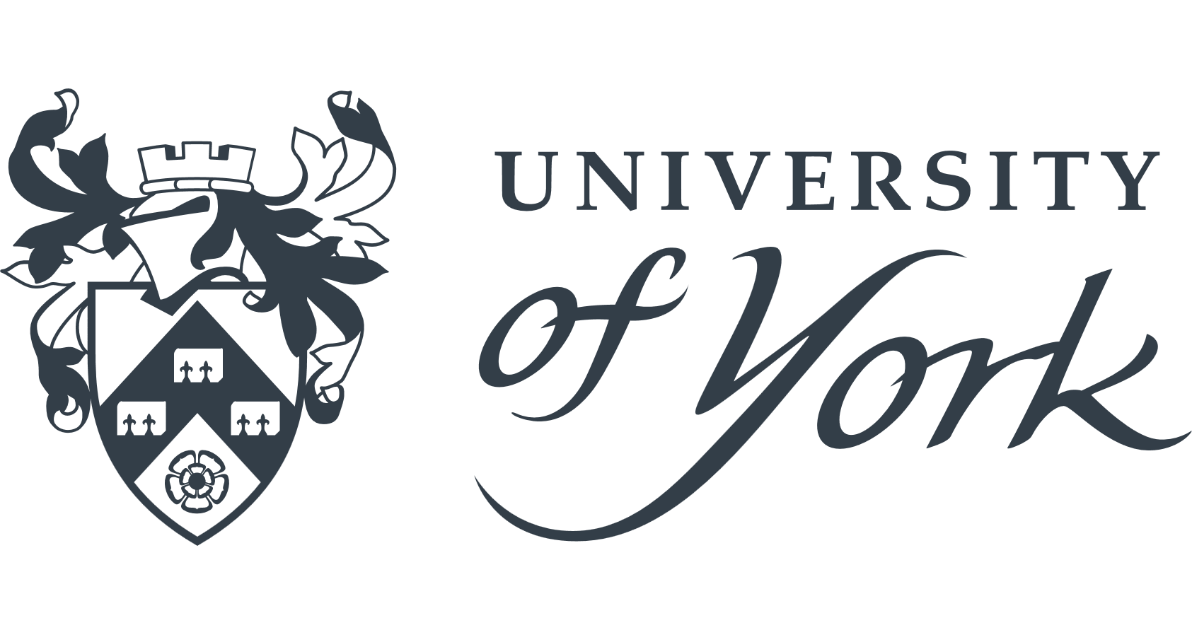 york university